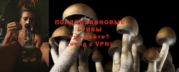мет Абаза