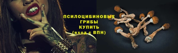 гашик Абдулино