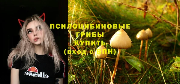 гашик Абдулино
