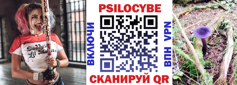 Псилоцибиновые грибы GOLDEN TEACHER  дарк нет состав  Майский  как найти закладки 