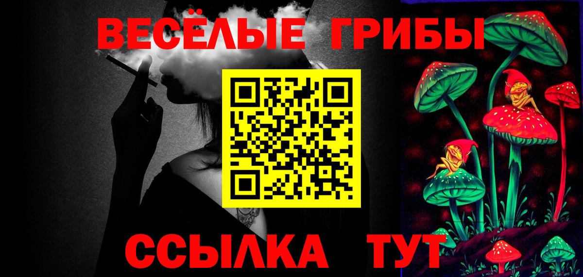 Псилоцибиновые грибы мицелий Майский