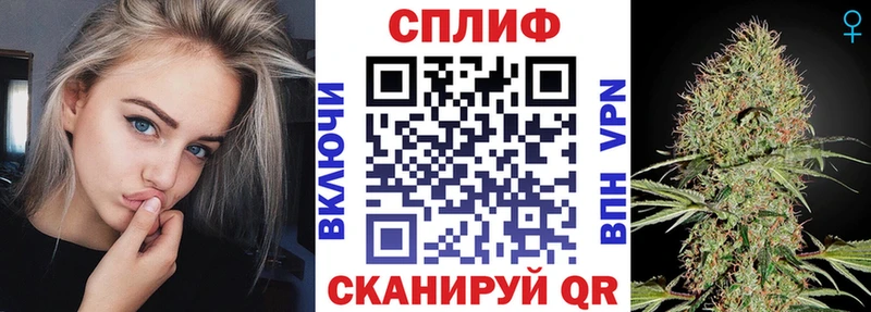 Конопля гибрид  Майский 